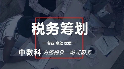 个人为什么要进行税务筹划——中数科税务师事务所的专业解析